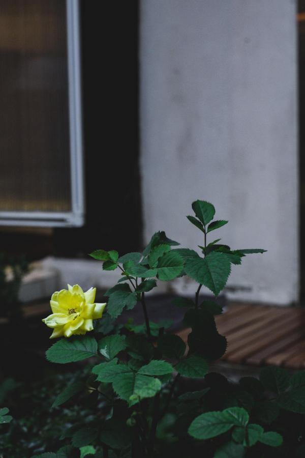 Viva La Vida - Jongno Hanok Private House ソウル特別市 エクステリア 写真
